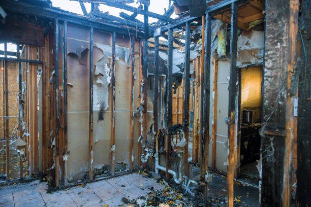 Professional Smoke Damage Removal technician working in Fayetteville, AL